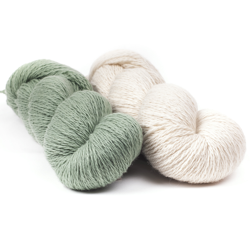 mYak_Kit_Lane's Isalnd_Lori Versaci_Salvia argentea Wild daisy