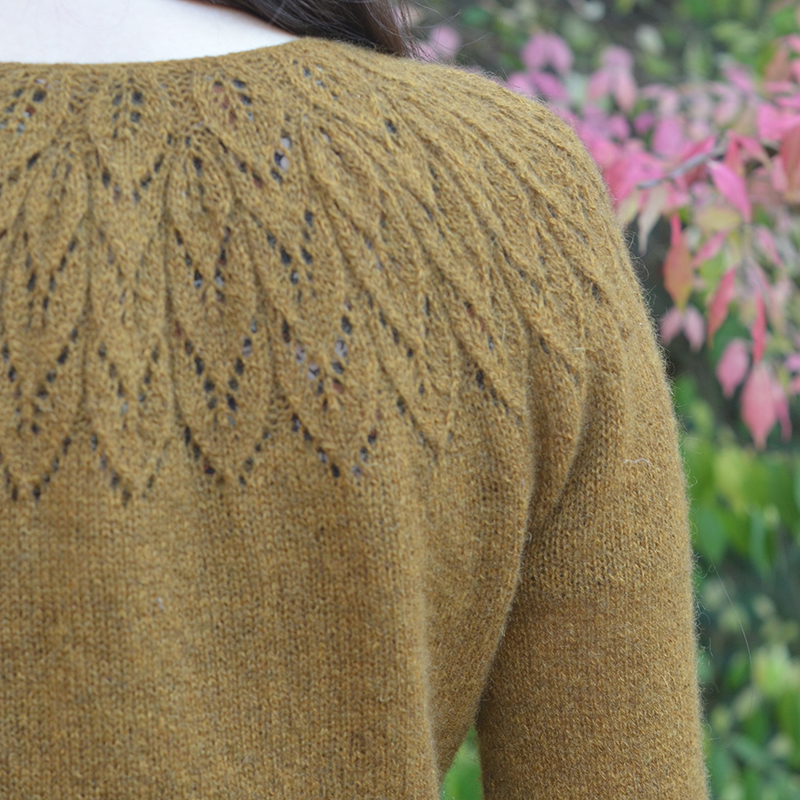 mYak_Wild Almond Cardigan_Sarah Solomon_00 mYak Wild Almond Cardigan Sarah Solomon