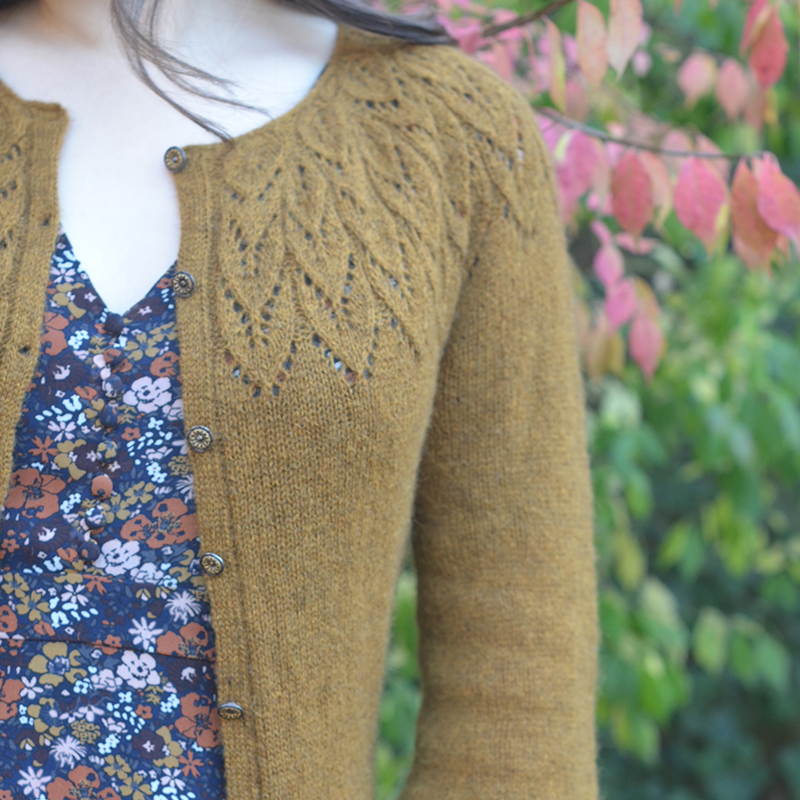 mYak_Wild Almond Cardigan_Sarah Solomon_01 mYak Wild Almond Cardigan Sarah Solomon