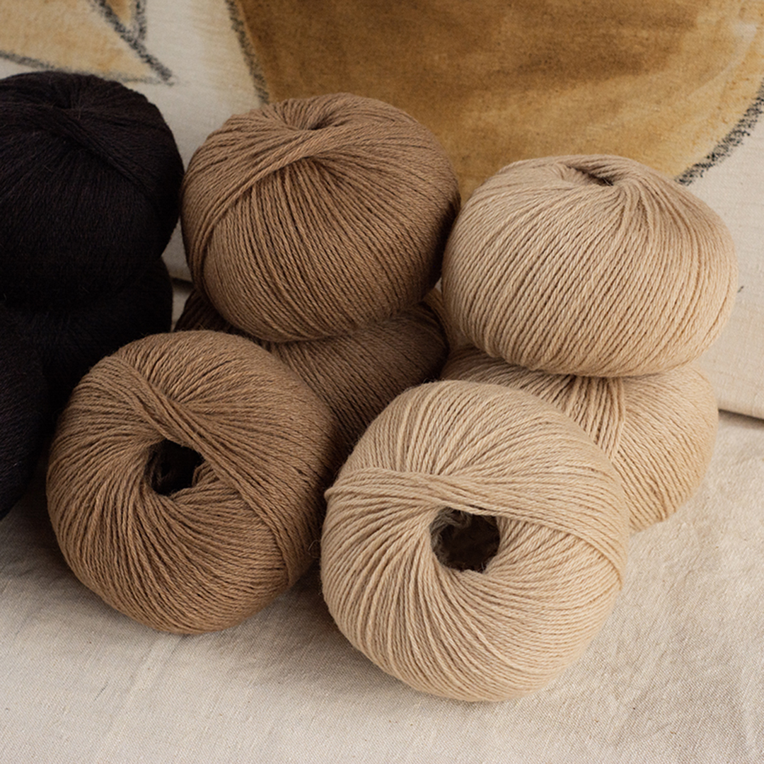 mYak_Baby Camel_Palette_03