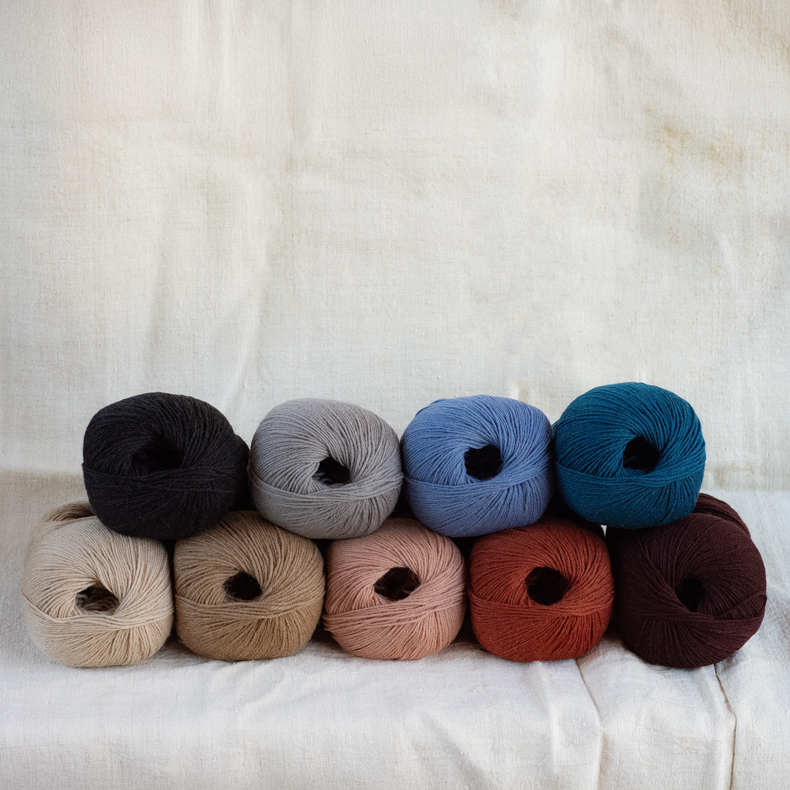 mYak_Baby Camel_Palette_17_Q