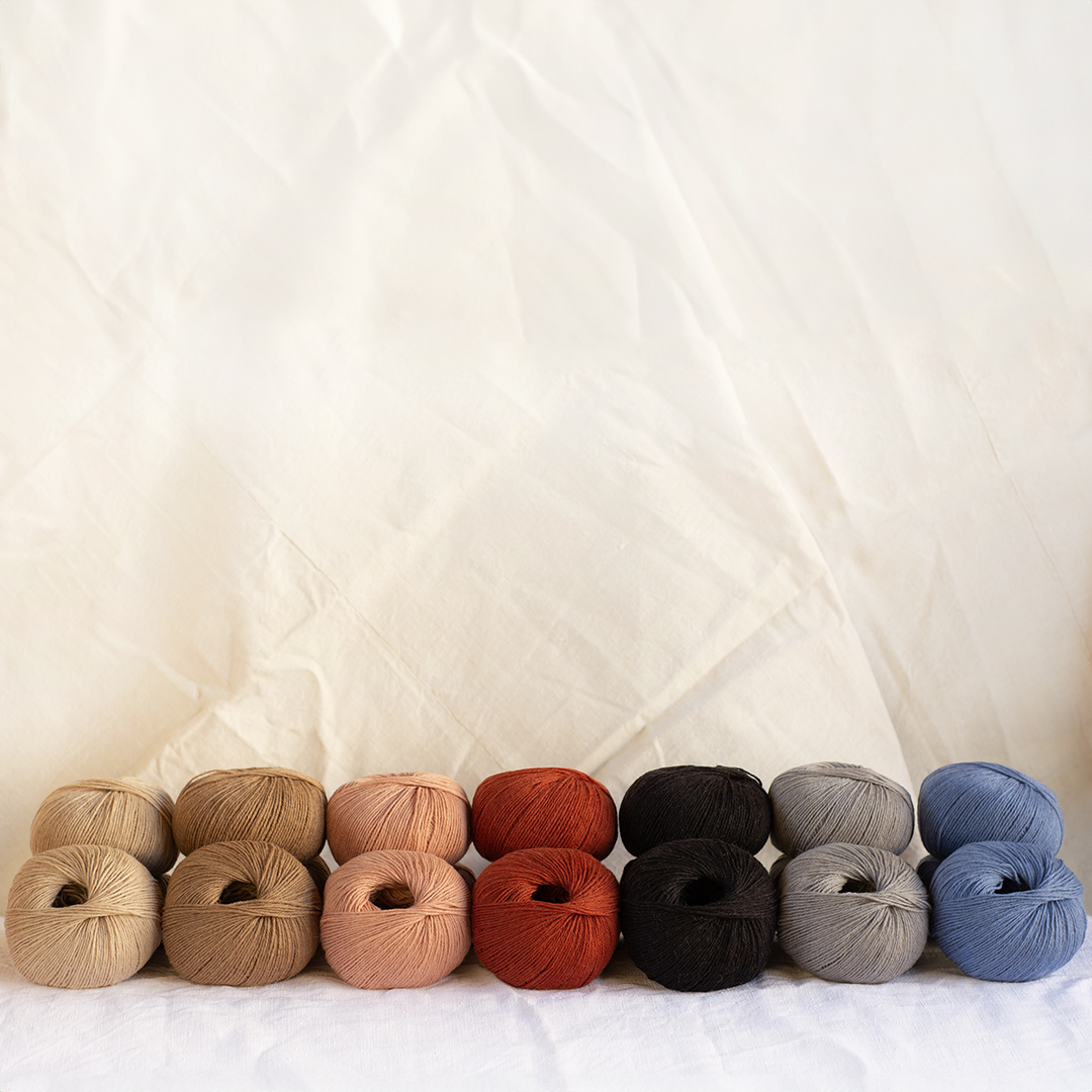 mYak_Baby Camel_palette_1200x800_10_QQ