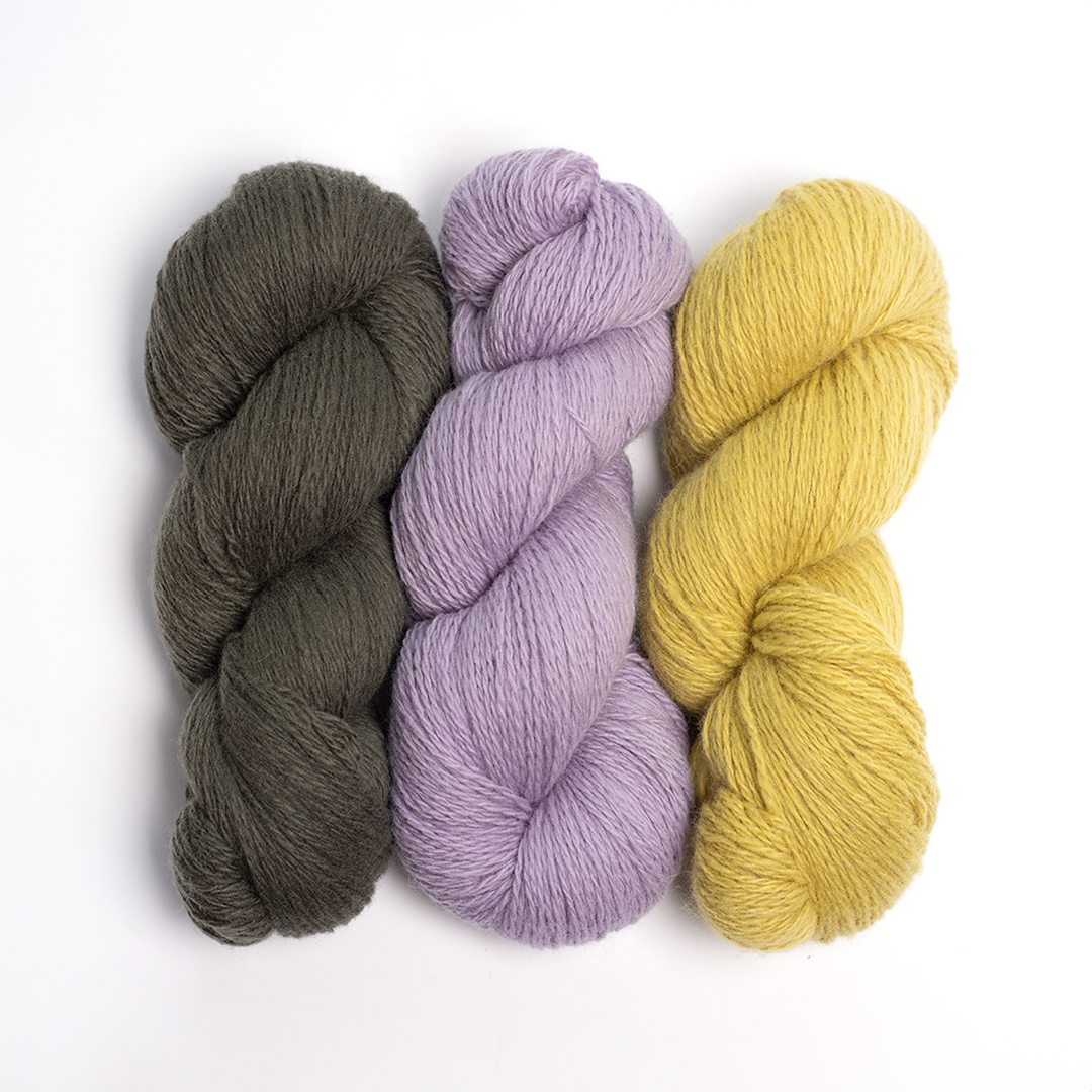mYak_Yarns_Shaded Fern Twilight Violet Dandelion_