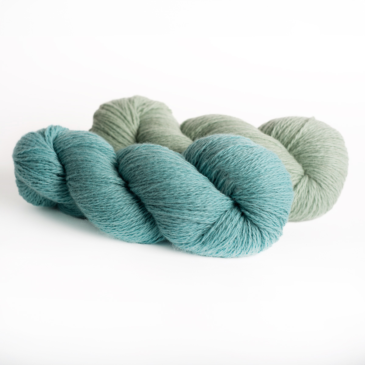 mYak_Yarn_Bright Surprise Salvia Argentea_Q