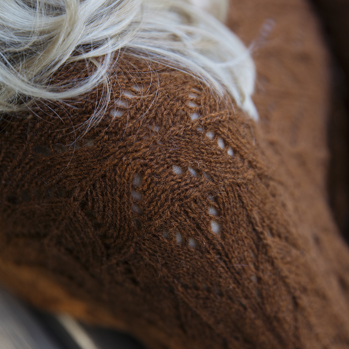 mYak_Conacaste_Claudia Quintanilla_07