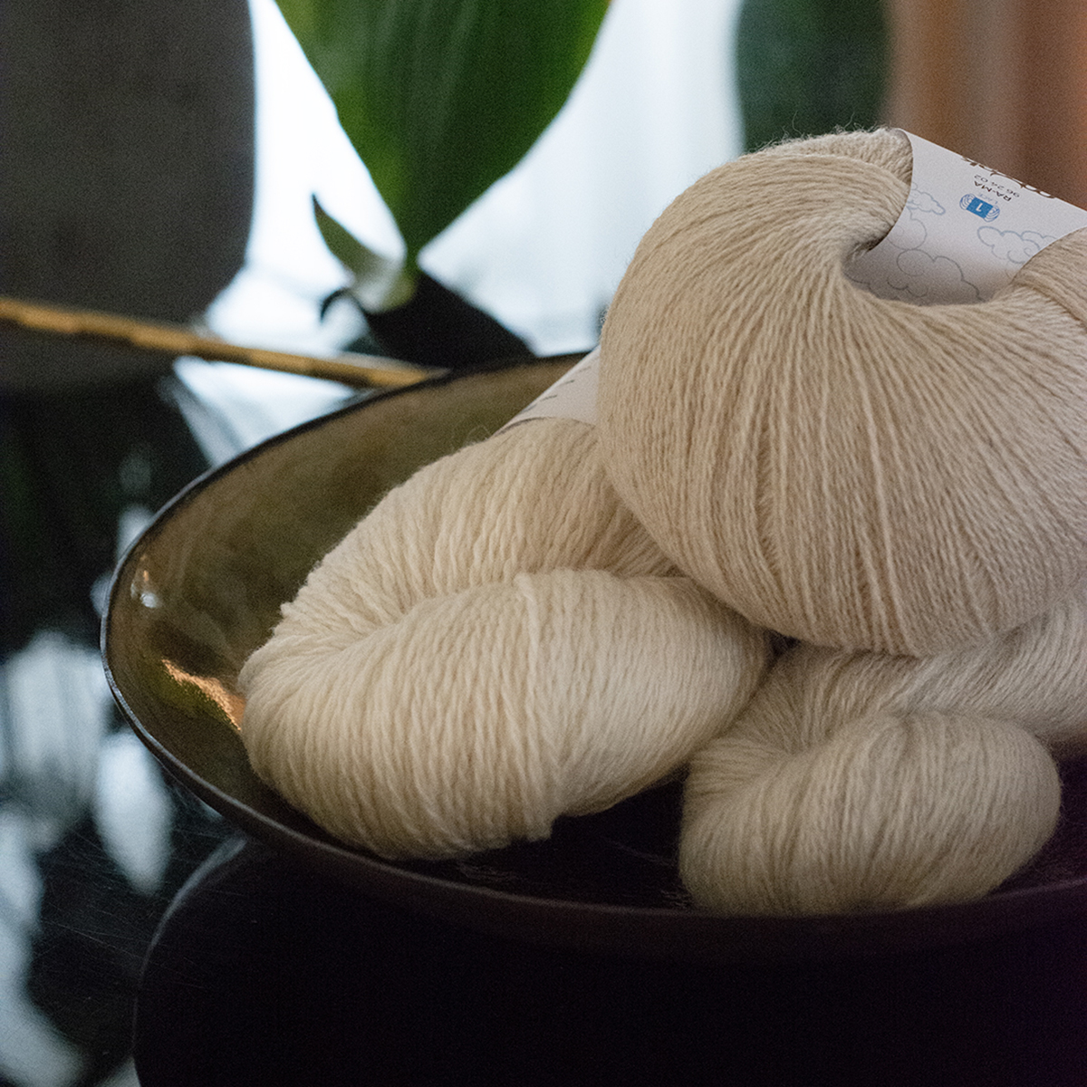 mYak_Wild Daisy Oatmeal Ra-ma_Q03