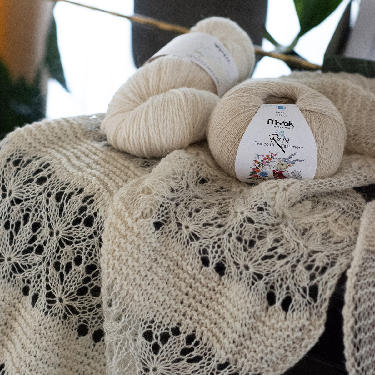 mYak_Wild Daisy Ra-ma_Q