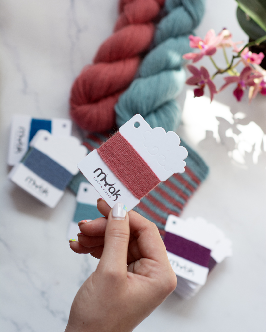 mYak_Color card Baby Yak_Q_04