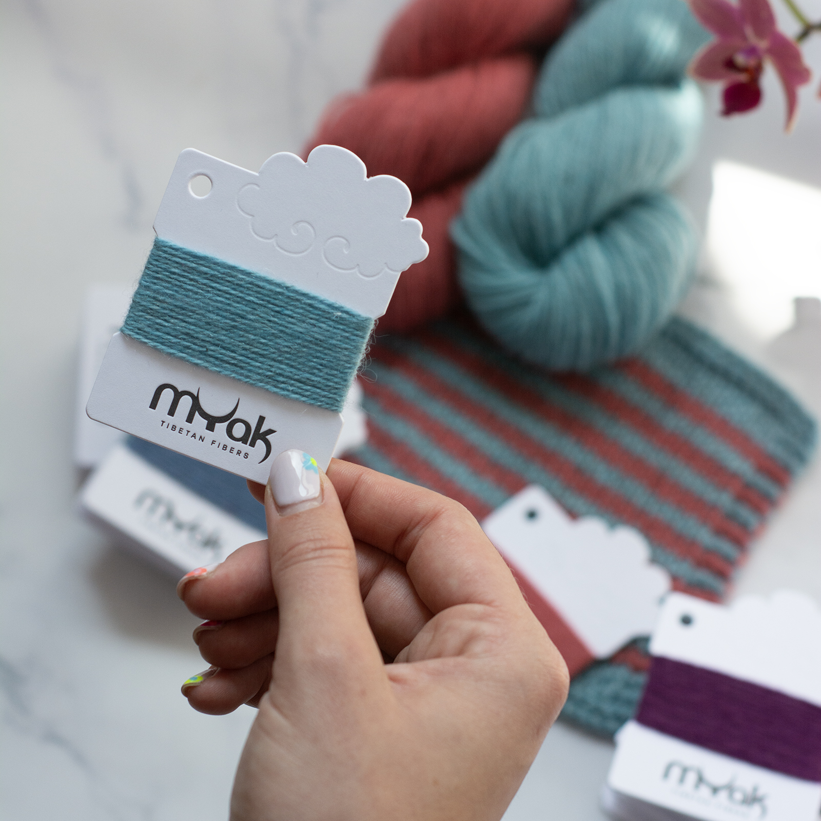 mYak_Color card Baby Yak_Q_05