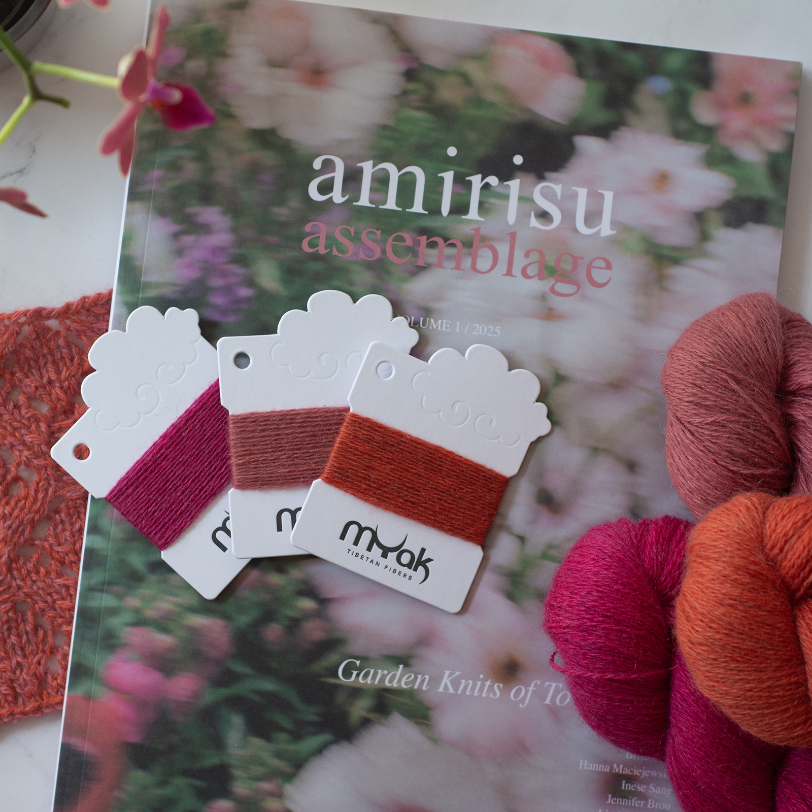 mYak_Color card Baby Yak_Q_07