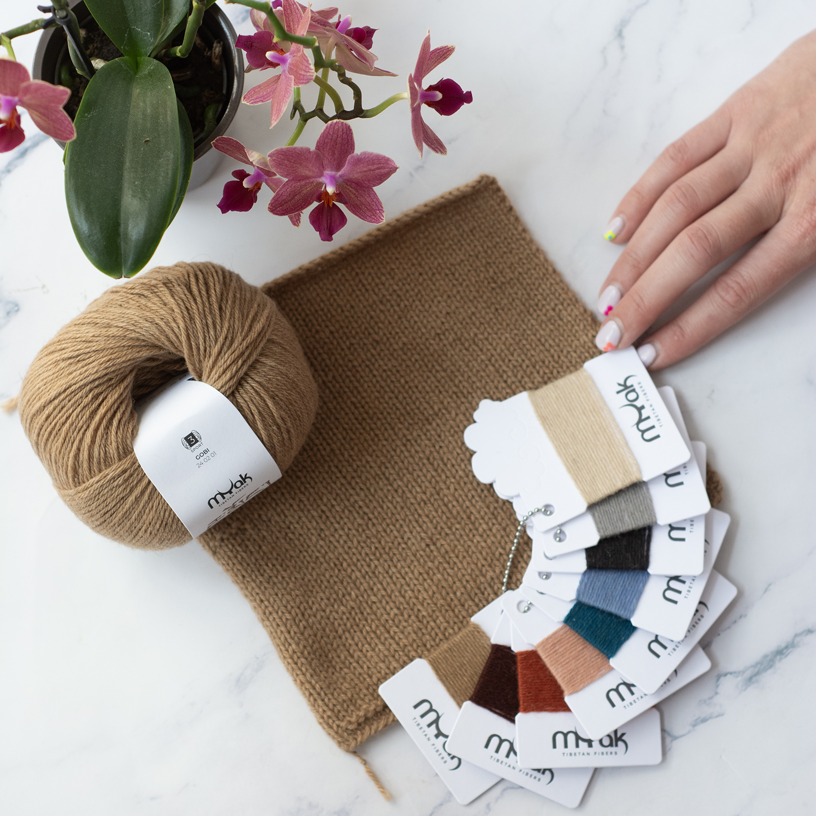 mYak_Color card Camel_Q_02