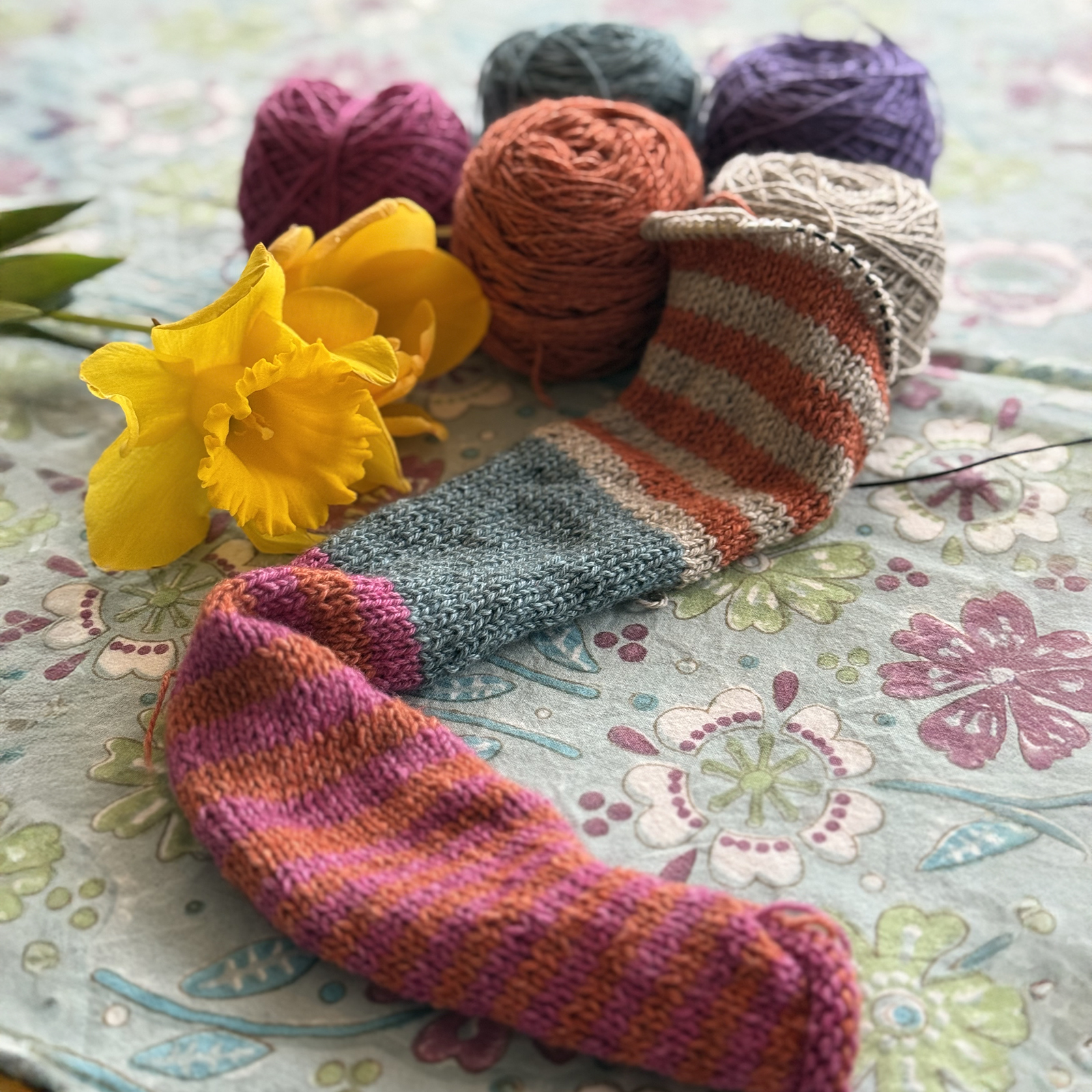 mYak_La Piccolina_Aimee Debaun_06